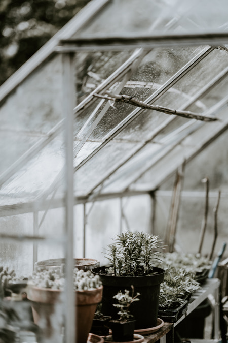 Gardening in February